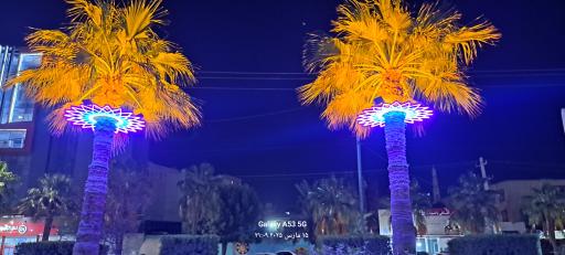 عکس باغ وحش مصنوعی ساوانا