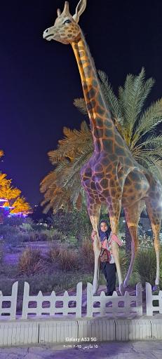 عکس باغ وحش مصنوعی ساوانا