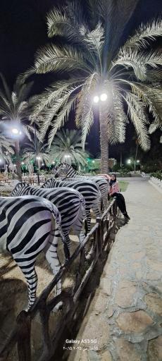 عکس باغ وحش مصنوعی ساوانا