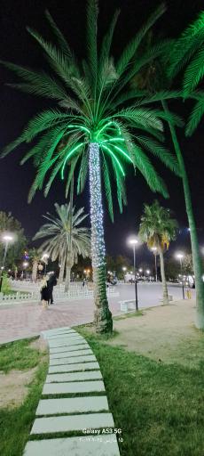 عکس باغ وحش مصنوعی ساوانا