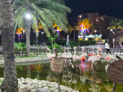 عکس باغ وحش مصنوعی ساوانا