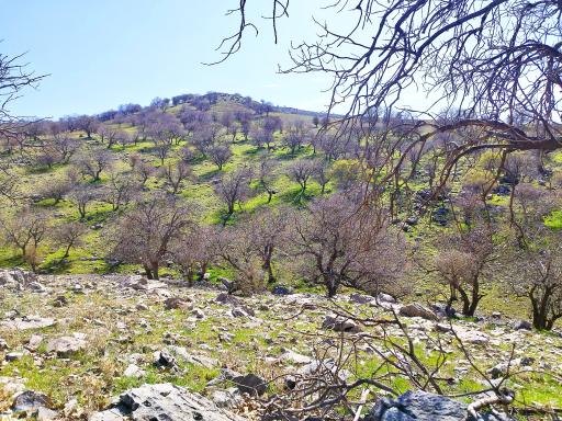 عکس آبدانان