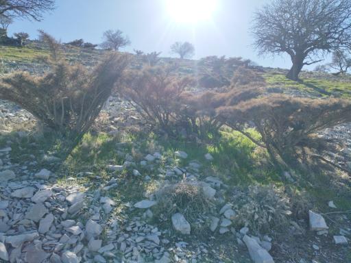 عکس آبدانان