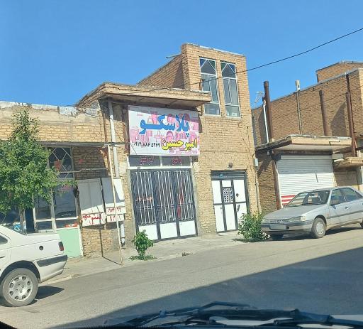 عکس پلاسکو امیر حسین