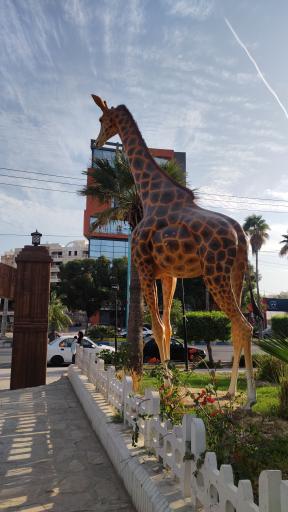 عکس باغ وحش مصنوعی ساوانا