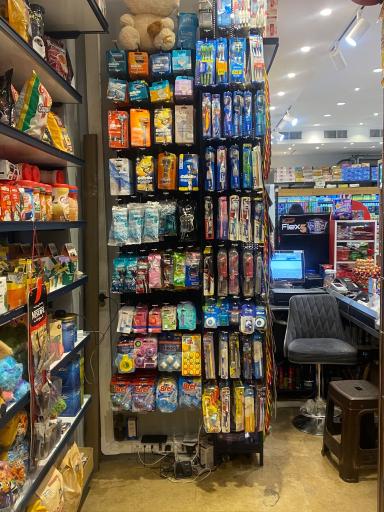 عکس بلوط مارکت