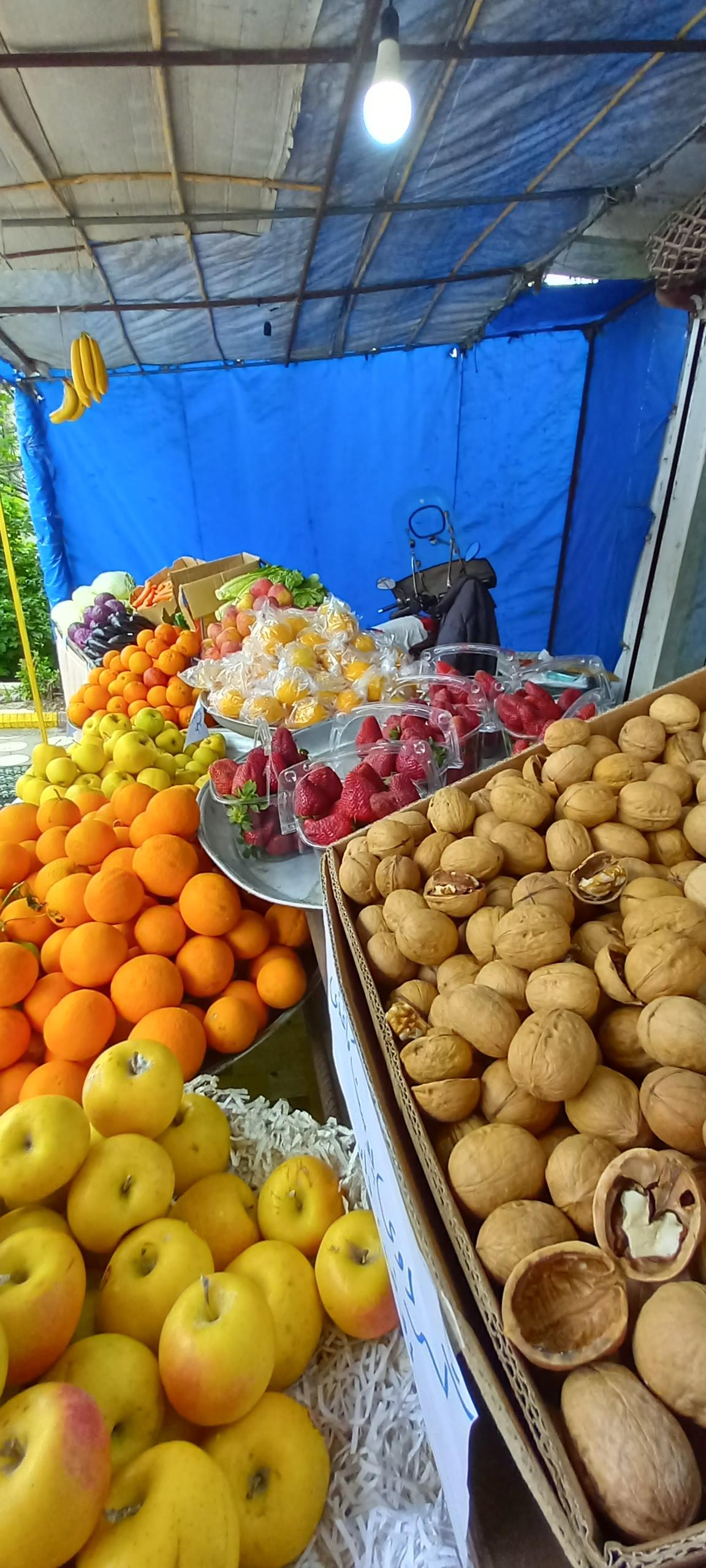 عکس میوه سرای امام رضا (ع)