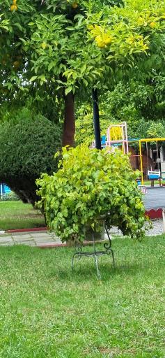 عکس مرکز آموزشی فرهنگی بانک‌ ملی