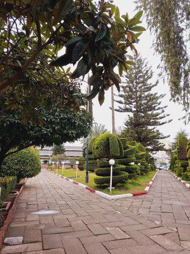 عکس مرکز آموزشی فرهنگی بانک‌ ملی