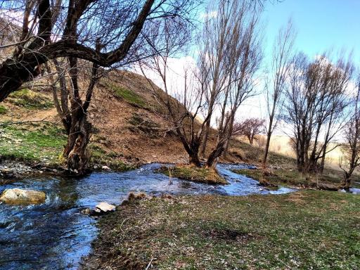 عکس پیر محمود