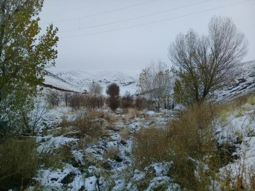 عکس پیر محمود