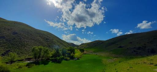 عکس پیر محمود