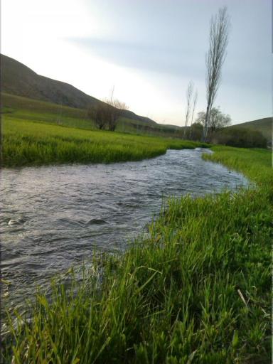 عکس پیر محمود