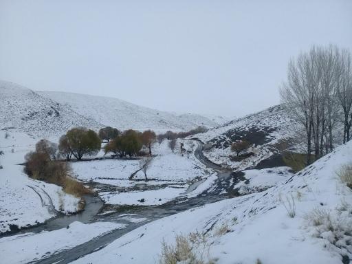 عکس پیر محمود