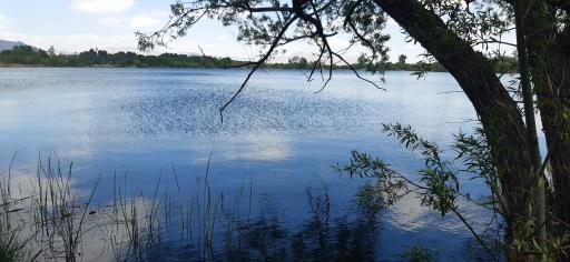 عکس دریاچه قایقرانی