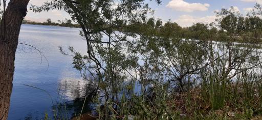 عکس دریاچه قایقرانی