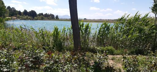 عکس دریاچه قایقرانی