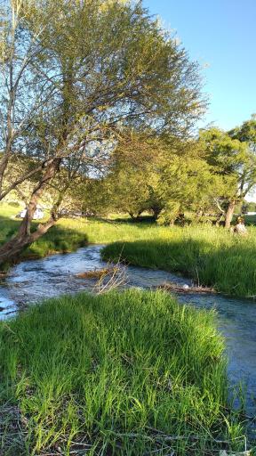 عکس پیر محمود