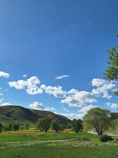 عکس پیر محمود