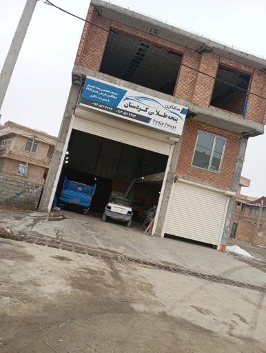 عکس صافکاری پنجه طلای کردستان