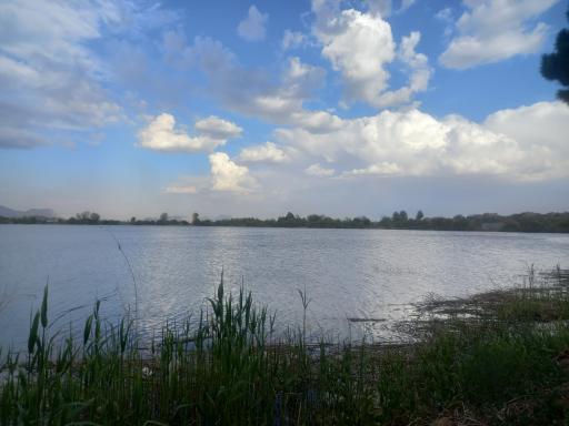 عکس دریاچه قایقرانی