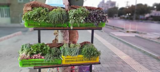 عکس فروشگاه سبزیجات بهترین 