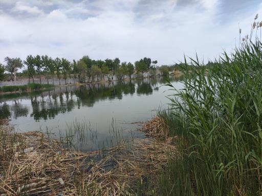 عکس دریاچه قایقرانی