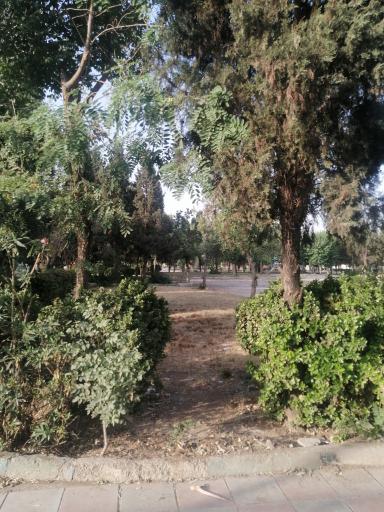 عکس پارک معلم