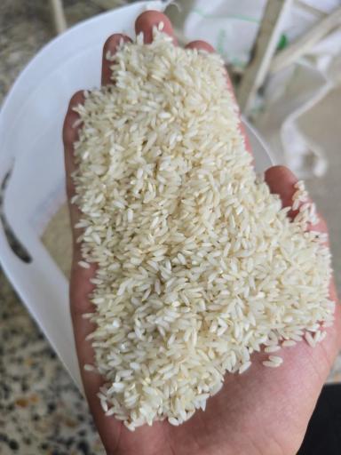 عکس بازرگانی برنج عنبربو ویشتاسب 