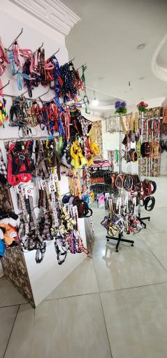 عکس پت شاپ اعتماد