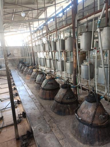 عکس شرکت گلاب علی اکبر