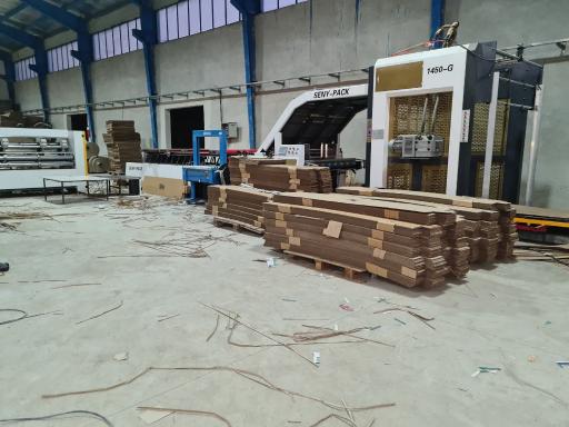 عکس کارتن سازی آوین پک