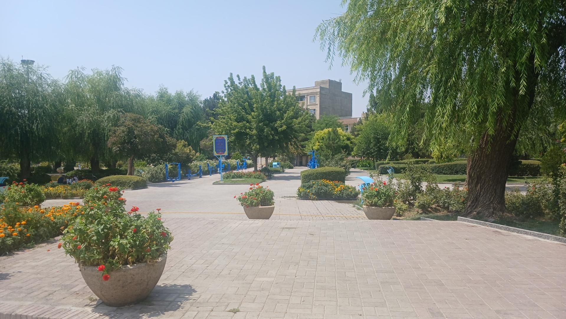 عکس پارک معلم