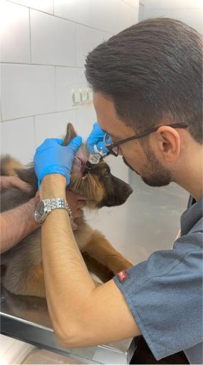 عکس کلینیک دامپزشکی ساحل