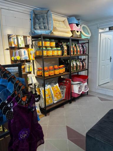 عکس کلینیک دامپزشکی ساحل