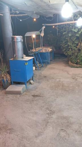 عکس جگرکی کدخدا