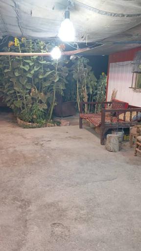 عکس جگرکی کدخدا