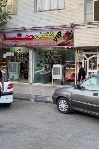 عکس کتونی ضیا