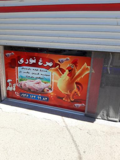 عکس مرغ نوری 