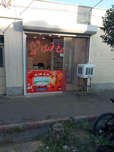 عکس مرغ نوری 