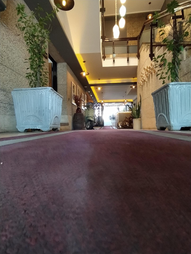 عکس بوتیک هتل عمارت 85