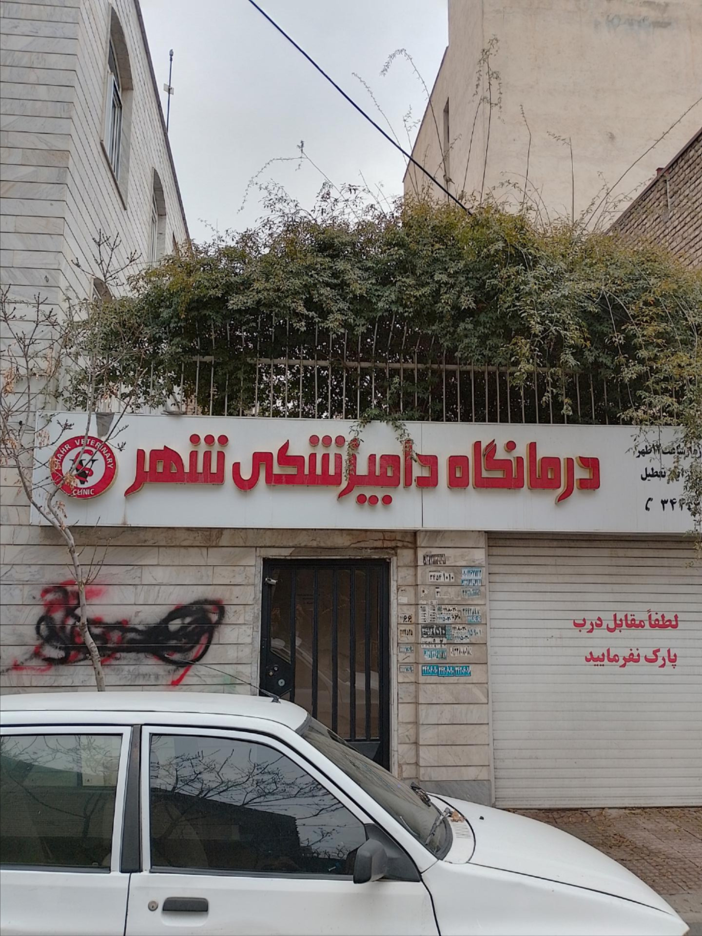 عکس کلینیک دامپزشکی شهر