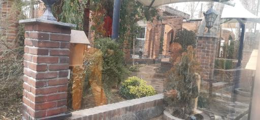 عکس باغچه رستوران آقاجون