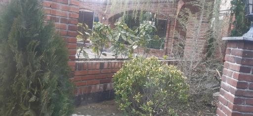 عکس باغچه رستوران آقاجون