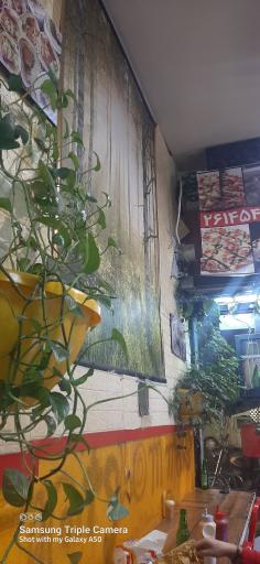 عکس فست فود هات شام