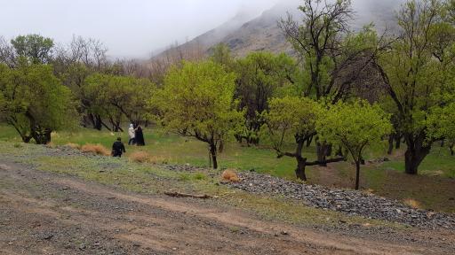 عکس تینجان
