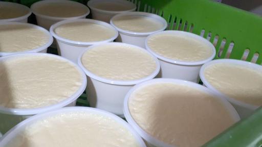 عکس لبنیاتی ال سون