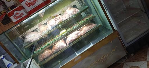 عکس مرغ وماهی پرطلا