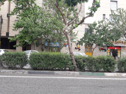 عکس مهد کودک شادیانه