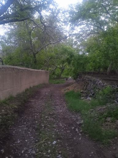 عکس تینجان